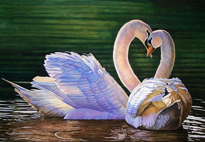 2011 Together Forever